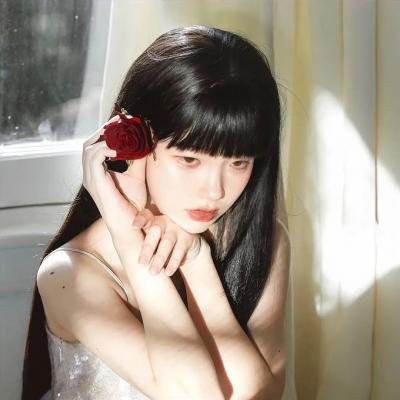 空中浩劫第二十四季